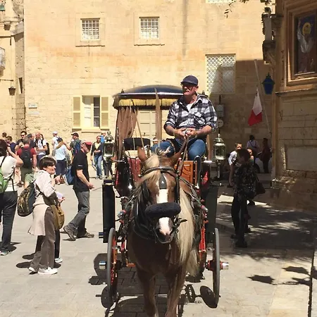 Unique 18th Century Converted Windmill In The Heart Of Vakantiehuis